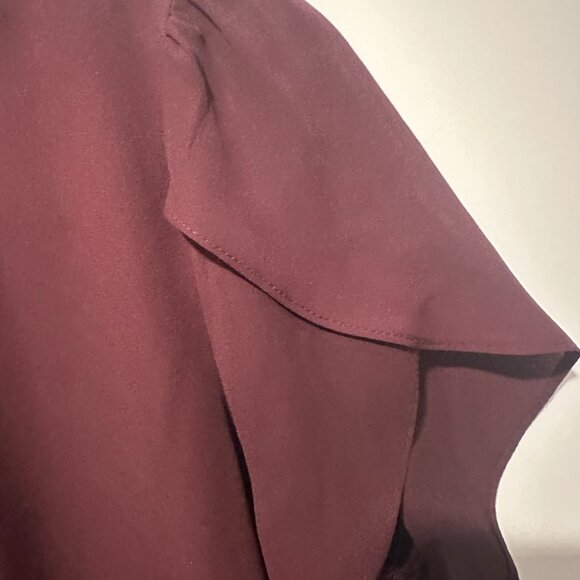 Daniel Rainn Plum Pleated Flutter Sleeve Blouse – Size P - Picture 3 of 4